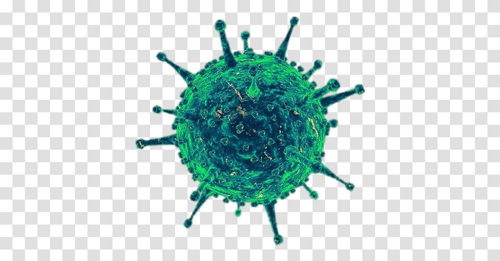 Covid Corona Virus No Background, Outdoors, Water, Nature, Vegetation Transparent Png