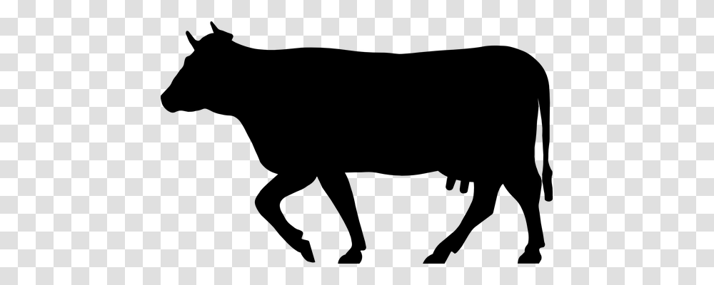 Cow Nature, Gray, World Of Warcraft Transparent Png