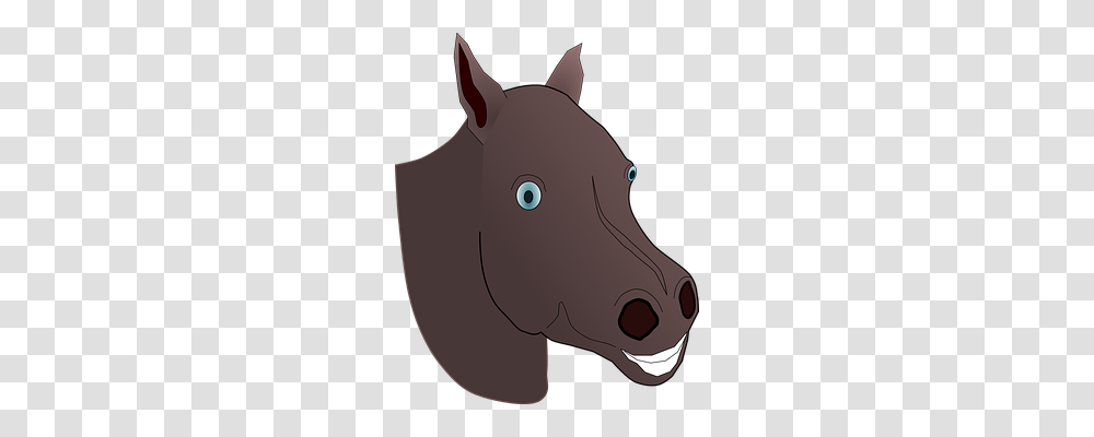 Cow Emotion, Snout, Mammal, Animal Transparent Png