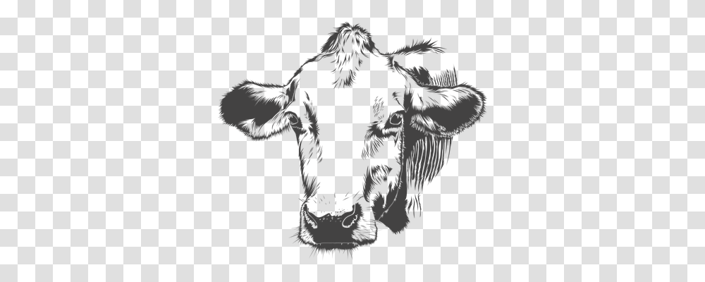 Cow Animals, Mammal, Cattle, Buffalo Transparent Png