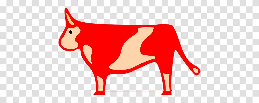 Cow Animals, Mammal, Cattle, Bull Transparent Png