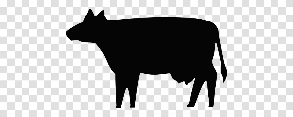 Cow Animals, Silhouette, Mammal, Wildlife Transparent Png