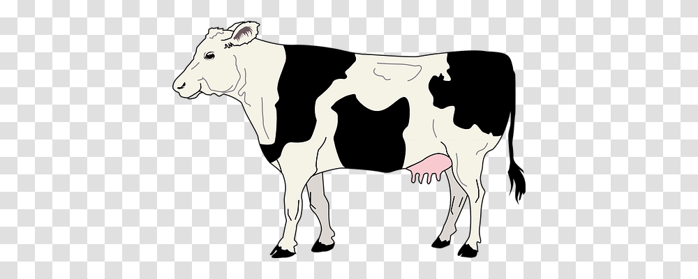 Cow Animals, Silhouette, Cattle, Mammal Transparent Png