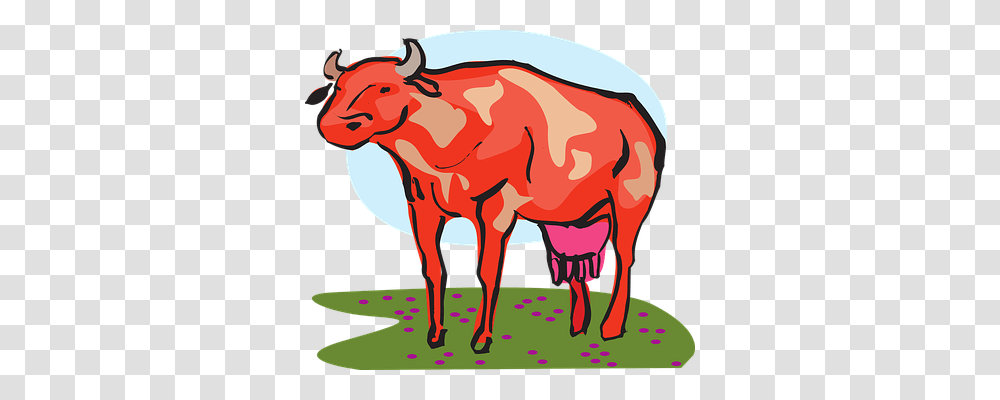 Cow Animals, Bull, Mammal, Cattle Transparent Png