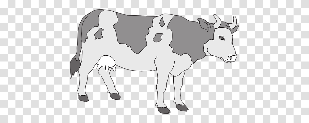 Cow Animals, Cattle, Mammal, Bull Transparent Png