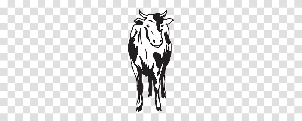 Cow Animals, Stencil, Mammal, Pet Transparent Png
