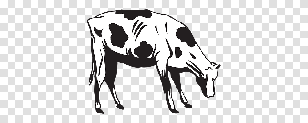 Cow Animals, Mammal, Cattle, Stencil Transparent Png