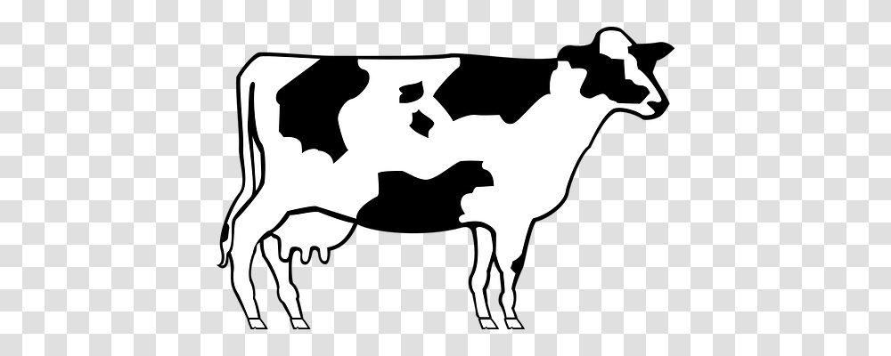Cow Animals, Stencil, Silhouette, Person Transparent Png
