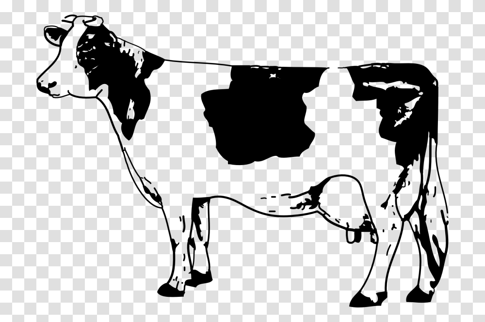 Cow, Animals, Gray, World Of Warcraft Transparent Png