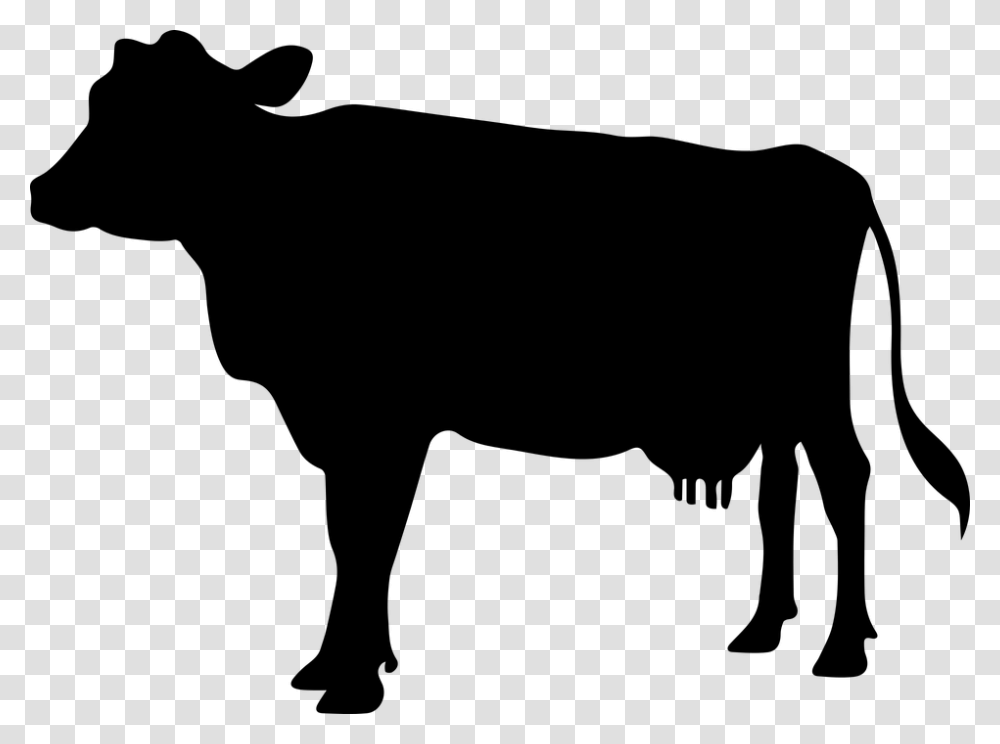 Cow, Animals, Gray, World Of Warcraft Transparent Png