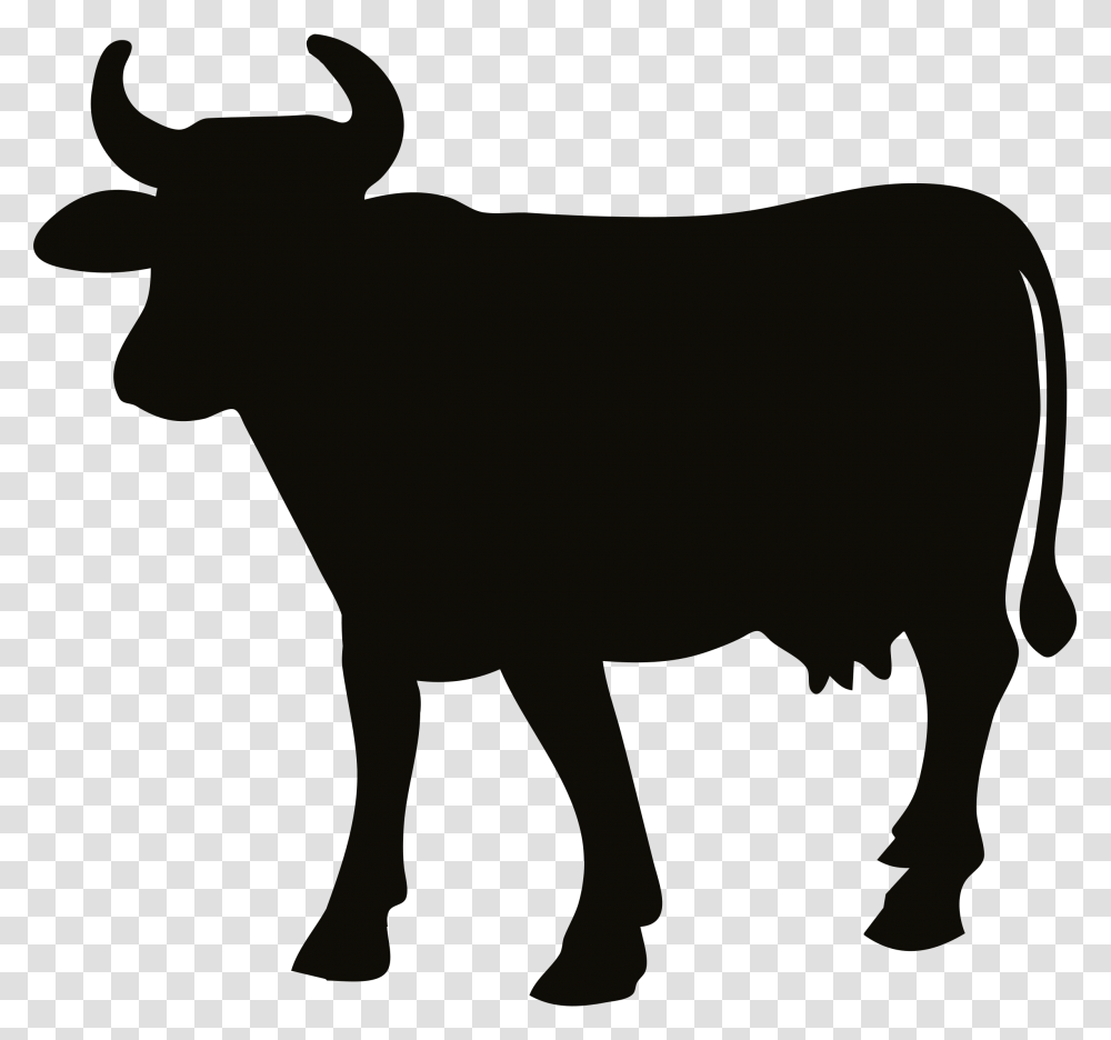 Cow, Animals, Mammal, Bull, Wildlife Transparent Png