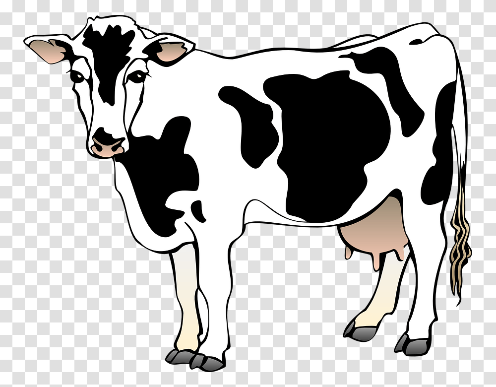 Cow Barn Farm Standing Animal Mammal Spots Cow Clipart, Cattle, Dairy Cow Transparent Png