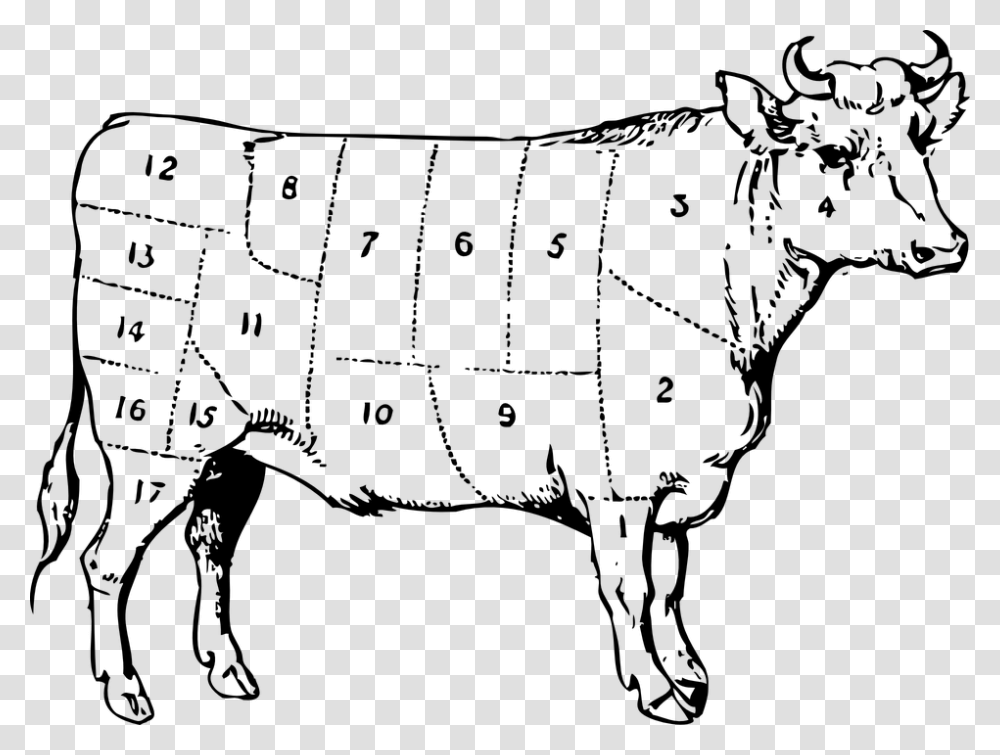 Cow Beef Cuts Numbered Symbol Meat Parts Cattle Ox Clip Art, Gray, World Of Warcraft Transparent Png