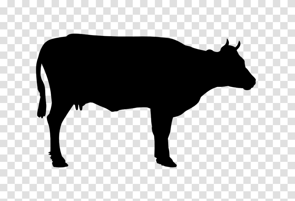Cow Black And White Cow Black And White Images, Bull, Mammal, Animal, Silhouette Transparent Png