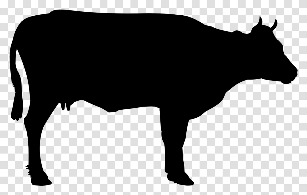 Cow Black, Gray, World Of Warcraft Transparent Png