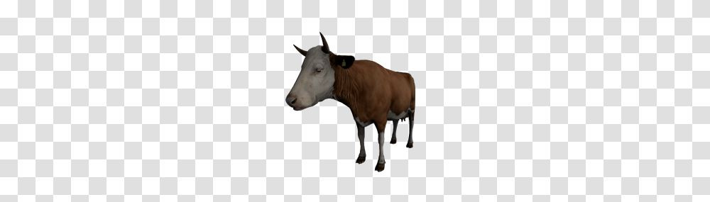 Cow, Cattle, Mammal, Animal, Blow Dryer Transparent Png