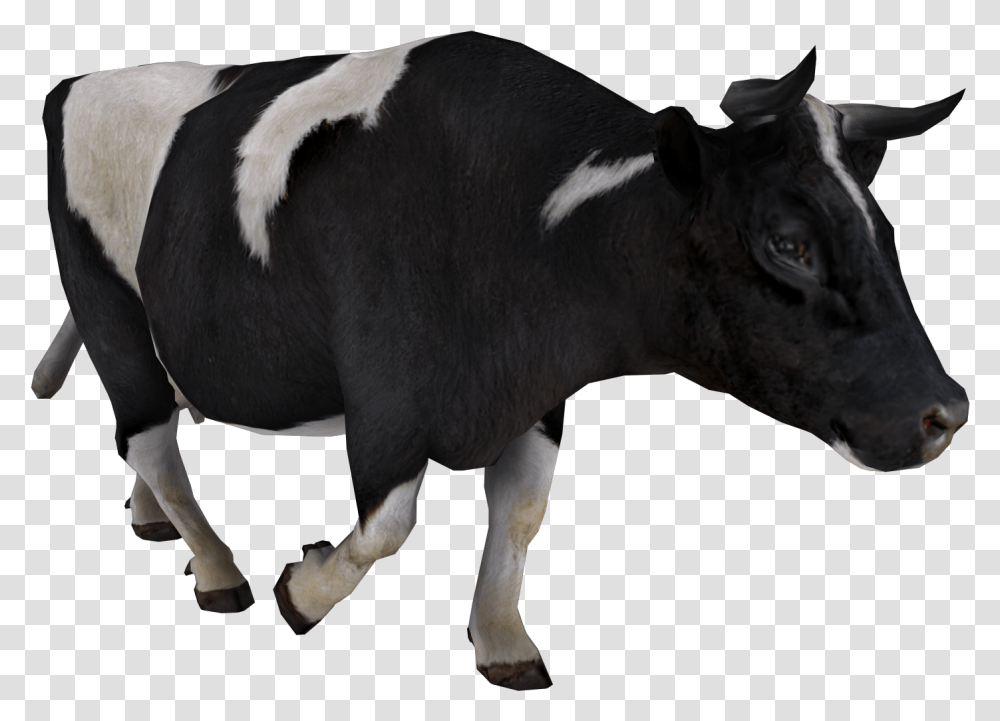 Cow, Cattle, Mammal, Animal, Bull Transparent Png