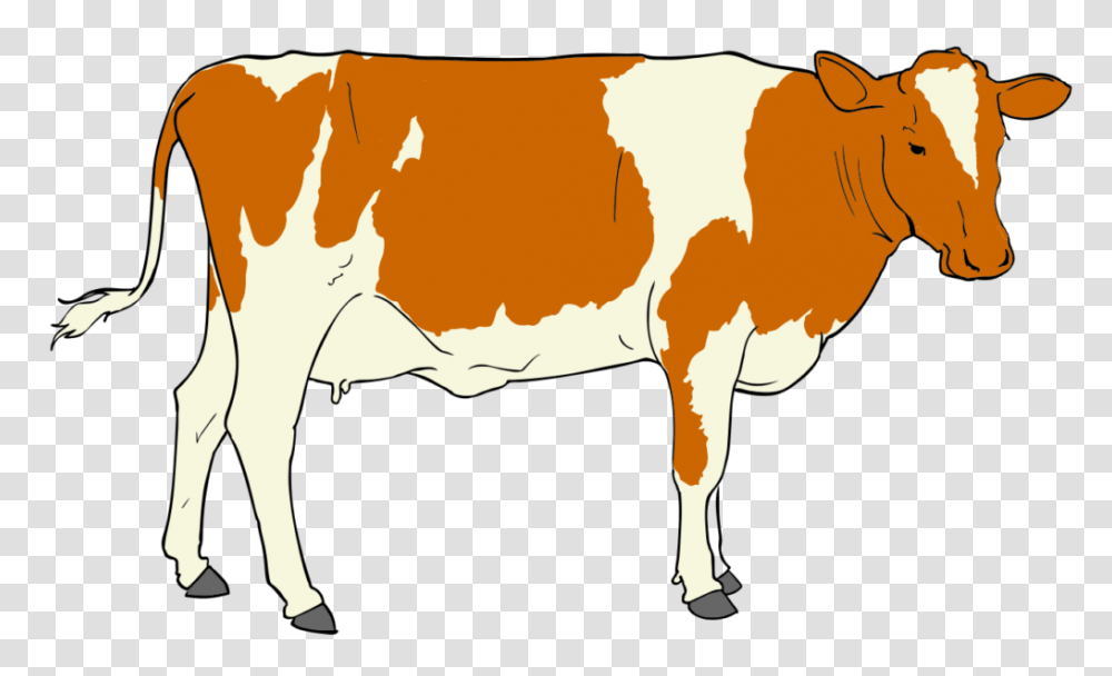 Cow Clip Art, Dairy Cow, Cattle, Mammal, Animal Transparent Png