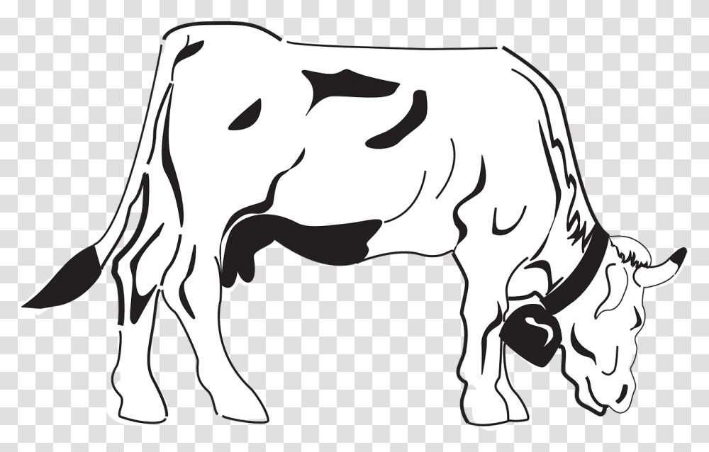 Cow Clipart Black And White Cows Coloring, Cattle, Mammal, Animal, Dairy Cow Transparent Png