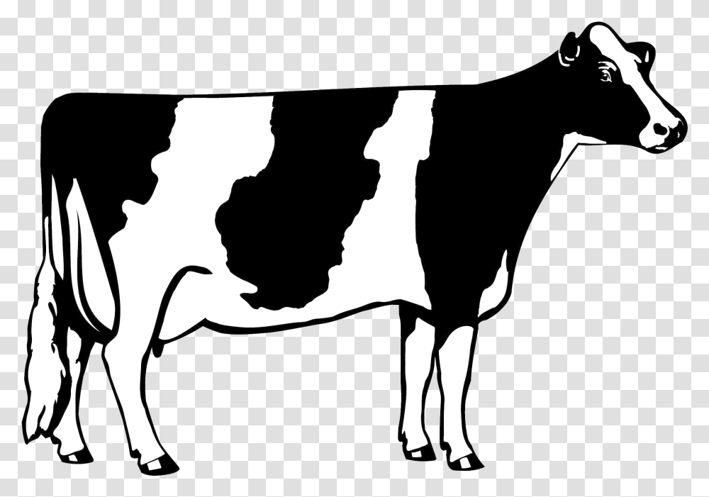 Cow Clipart Dairy Cow Clip Art, Cattle, Mammal, Animal, Person Transparent Png
