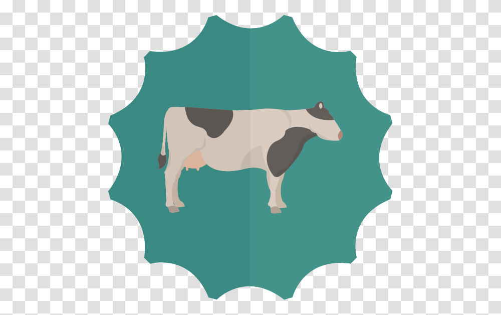 Cow Clipart Digestive System Dairy Cow, Cattle, Mammal, Animal, Person Transparent Png
