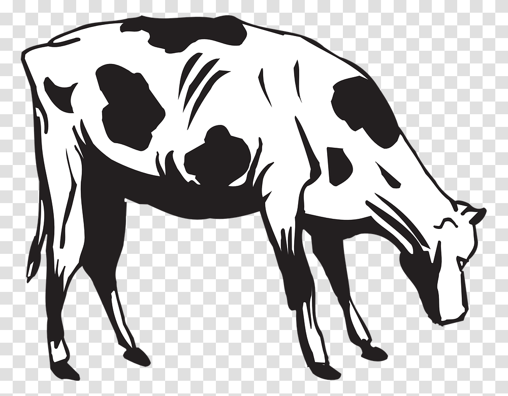 Cow Clipart Eating, Mammal, Animal, Cattle, Stencil Transparent Png