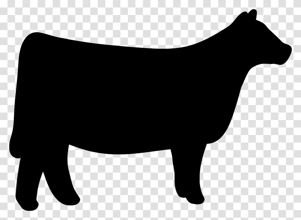 Cow Clipart Heifer, Pig, Mammal, Animal, Hog Transparent Png