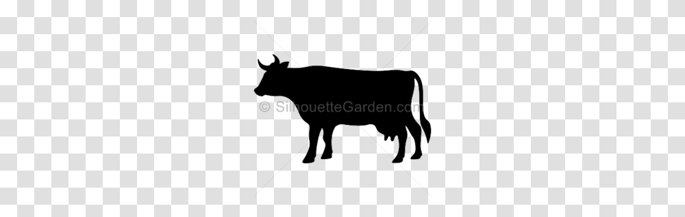 Cow Clipart, Mammal, Animal, Bull, Cattle Transparent Png