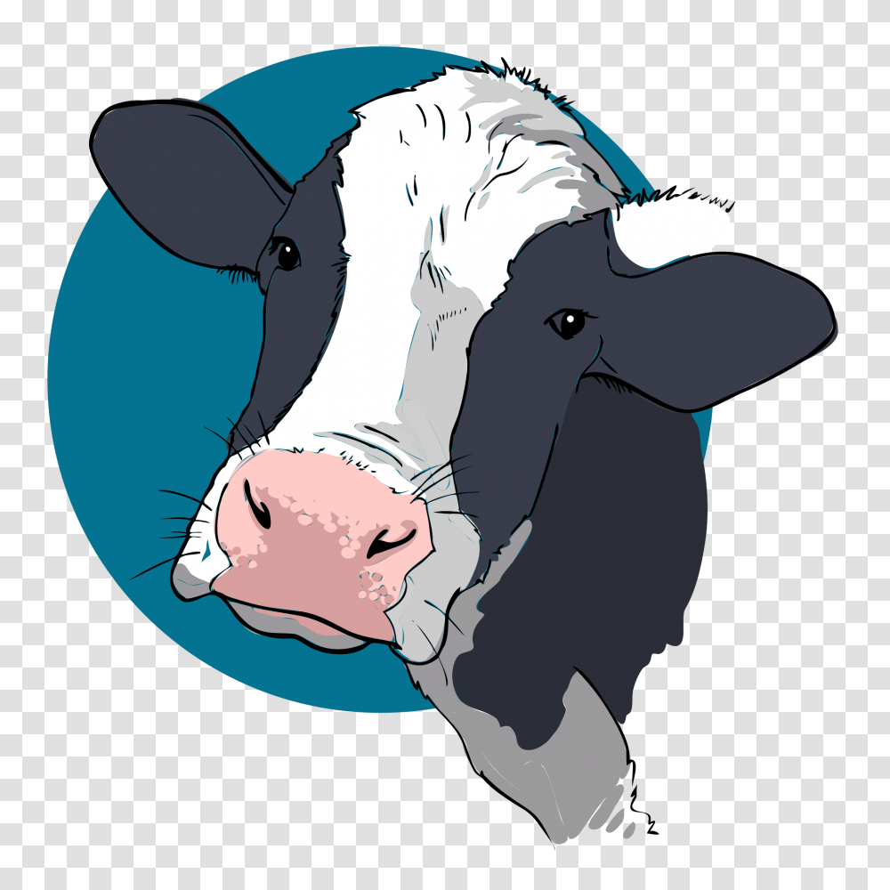 Cow Closeup, Cattle, Mammal, Animal, Dairy Cow Transparent Png
