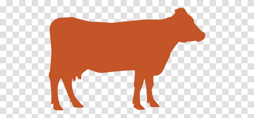 Cow Comfort Alltech Animal Figure, Mammal, Goat, Cattle, Bull Transparent Png