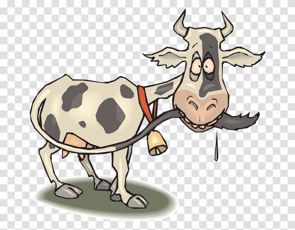 Cow Crazy Animal Tail Drooling Chewing Skinny Cow Cartoon, Cattle, Mammal, Dairy Cow, Horse Transparent Png