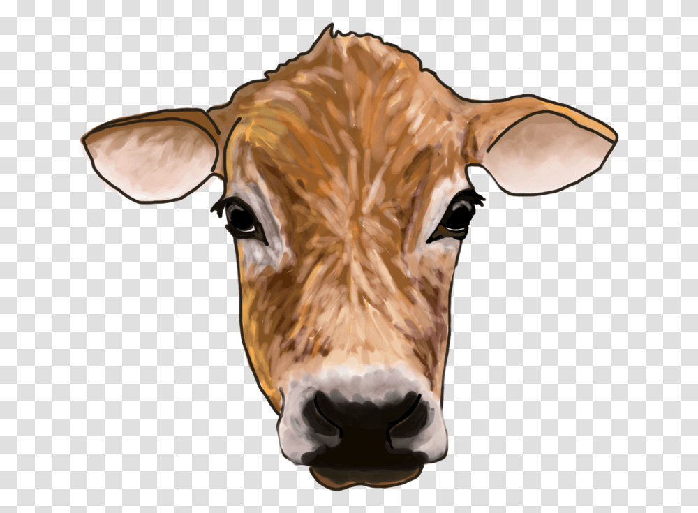 Cow Dairy Cow, Cattle, Mammal, Animal, Bird Transparent Png