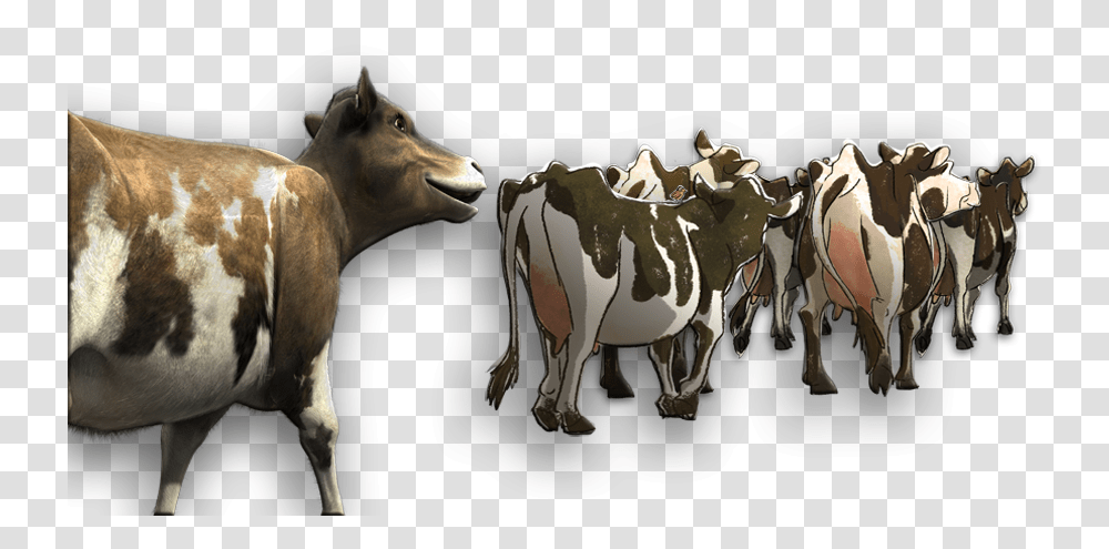 Cow Families Herd Of Cows, Cattle, Mammal, Animal, Bull Transparent Png