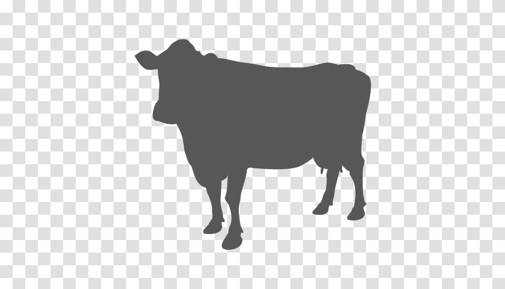 Cow Flat Icon, Bull, Mammal, Animal, Wildlife Transparent Png