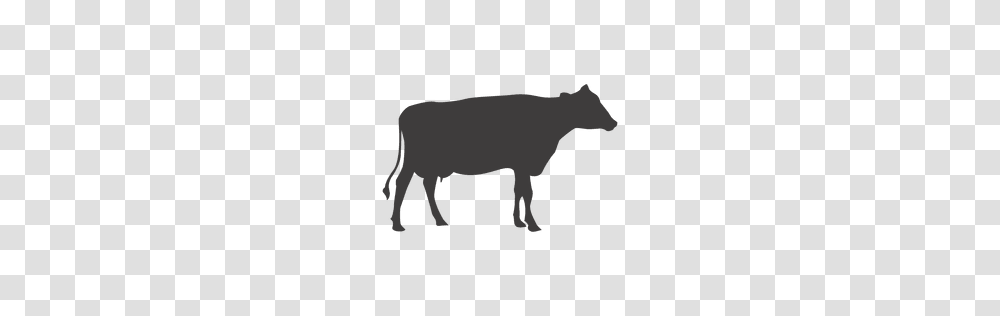 Cow Grazing Silhouette, Mammal, Animal, Cattle, Bull Transparent Png