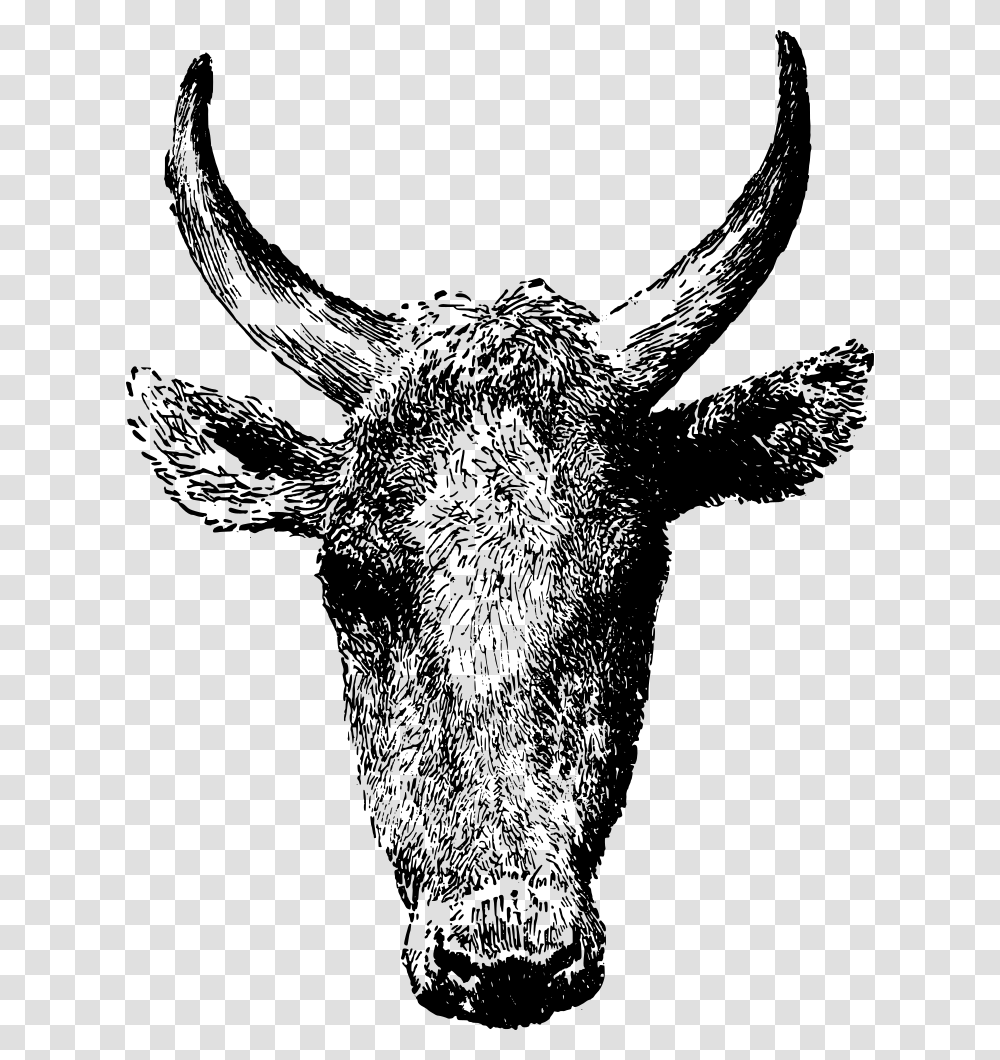 Cow Head Kepala Anoa Vector, Gray, World Of Warcraft Transparent Png