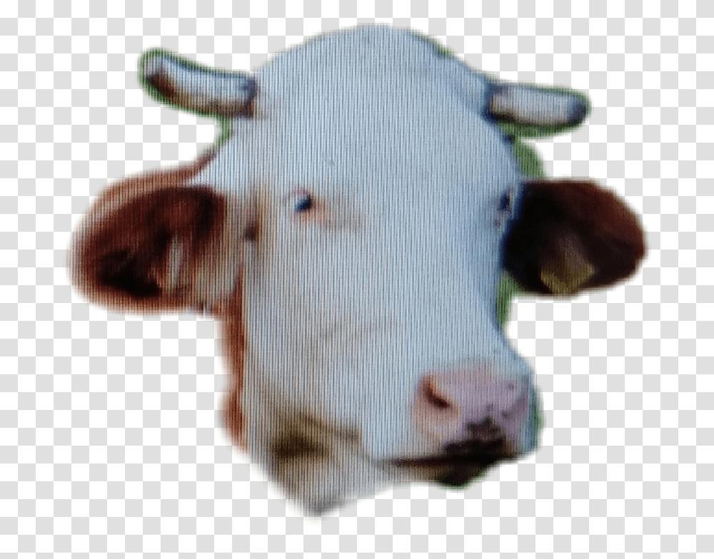Cow Head Sheep, Mammal, Animal, Person, Human Transparent Png
