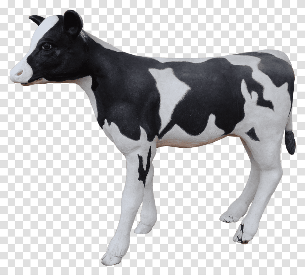 Cow Holstein Calf Dairy Cow, Cattle, Mammal, Animal, Dog Transparent Png
