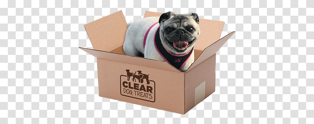 Cow Hooves Dog Treats The Clear Shop Pug, Box, Pet, Canine, Animal Transparent Png