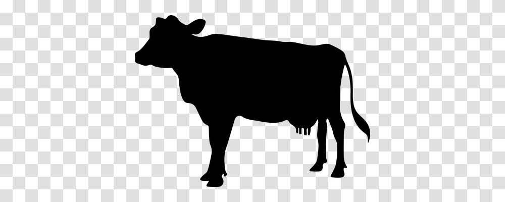 Cow Icon Gray, World Of Warcraft Transparent Png