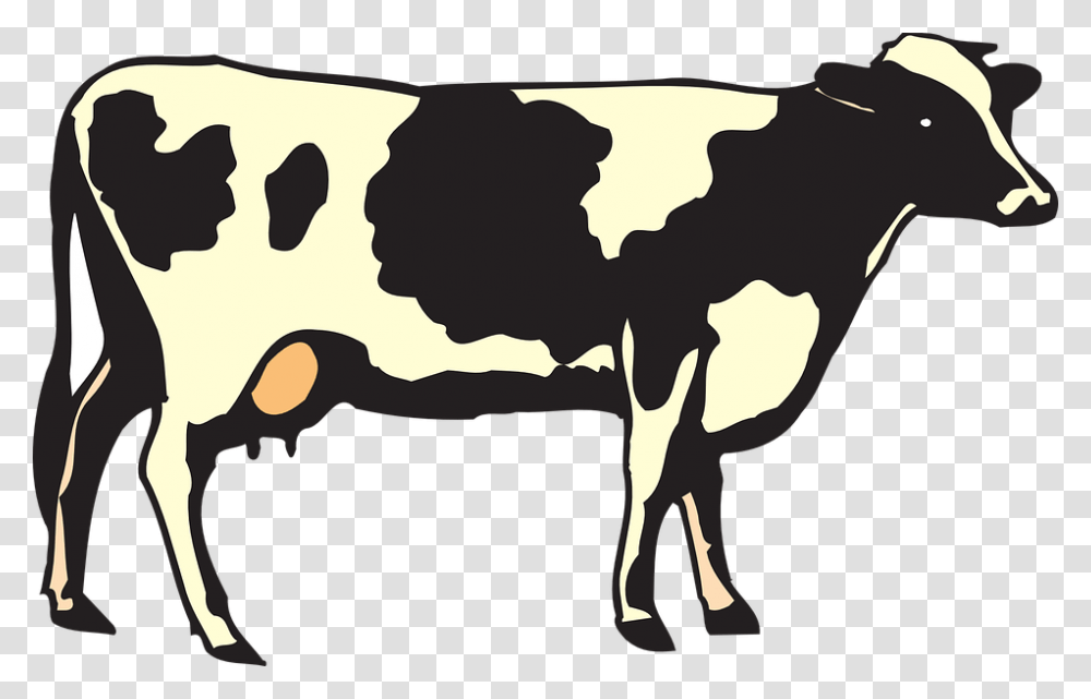 Cow Image Free Cows Picture Download, Cattle, Mammal, Animal, Dairy Cow Transparent Png