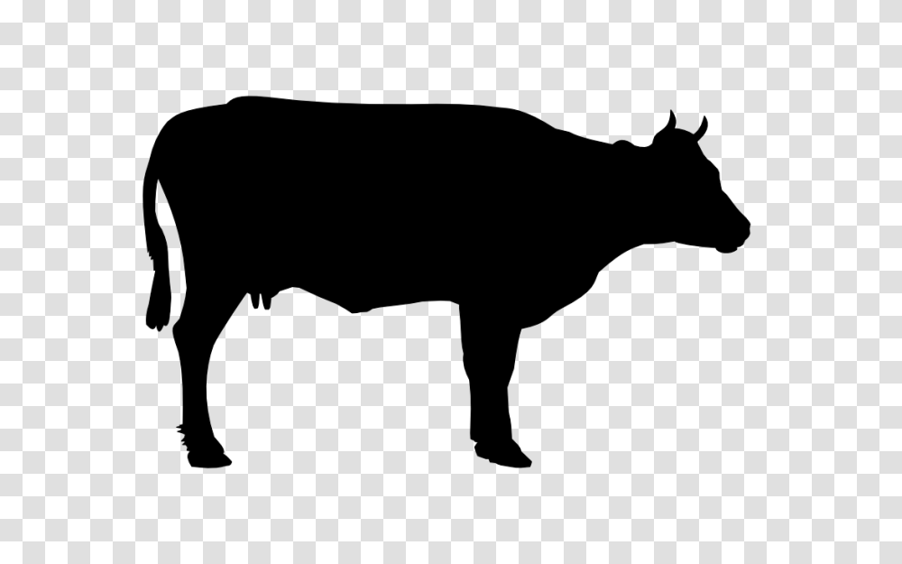 Cow Image Free Cows Picture Download, Gray, World Of Warcraft Transparent Png