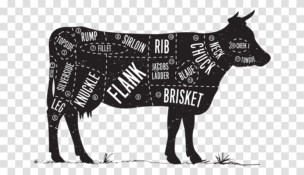 Cow In Cuts, Label, Person, Mammal Transparent Png