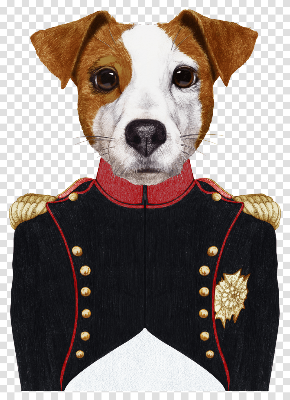 Cow In Military Uniform, Hound, Pet, Canine, Animal Transparent Png