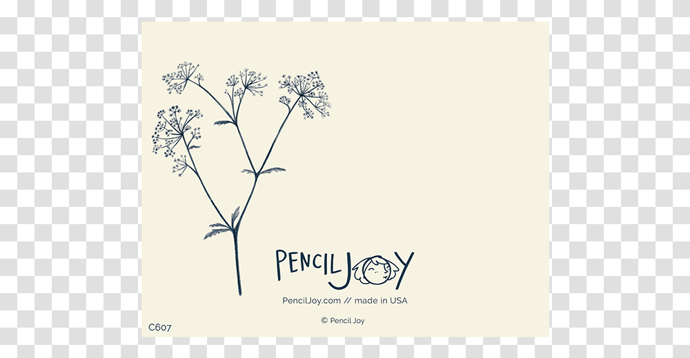 Cow Parsley, Plant, Envelope, Mail, Greeting Card Transparent Png