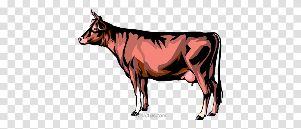 Cow Royalty Free Vector Clip Art Illustration, Animal, Mammal, Wildlife, Horse Transparent Png