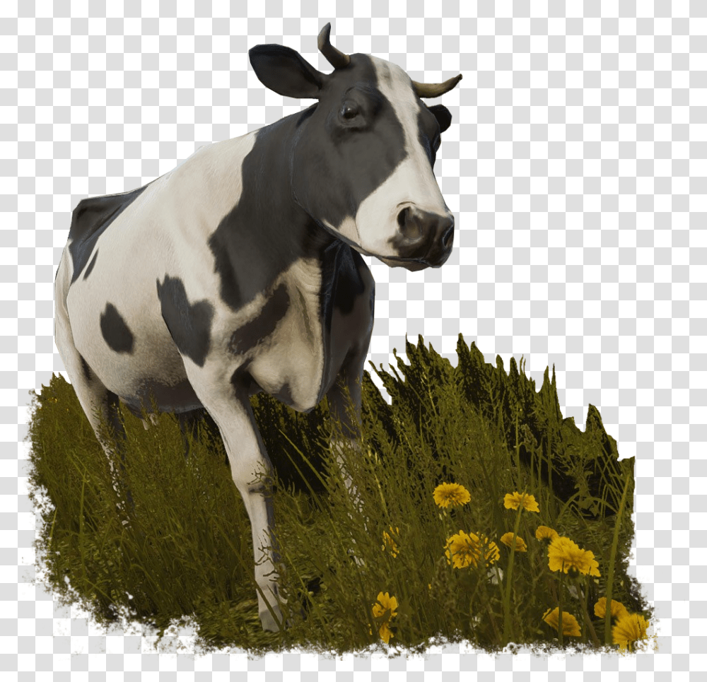 Cow Sansbg Pure Farming 2018 Animals, Cattle, Mammal, Dairy Cow, Bull Transparent Png