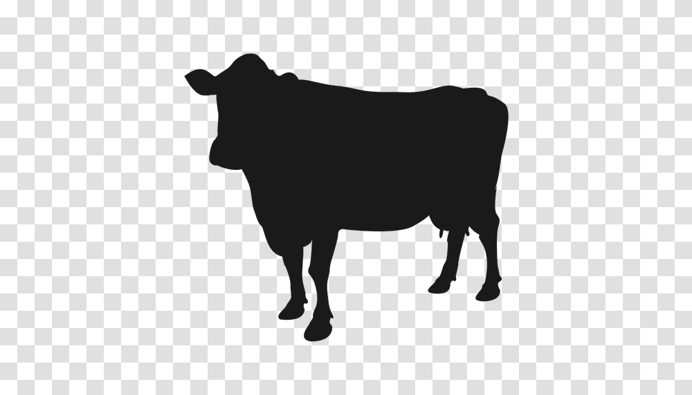 Cow Silhouette, Bull, Mammal, Animal, Cattle Transparent Png