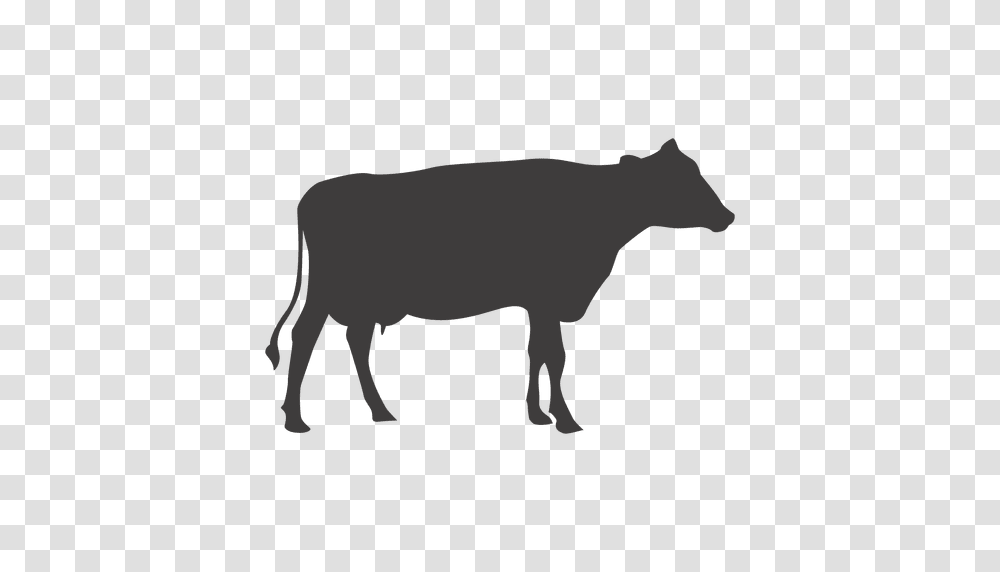 Cow Silhouette Vector, Cattle, Mammal, Animal, Bull Transparent Png