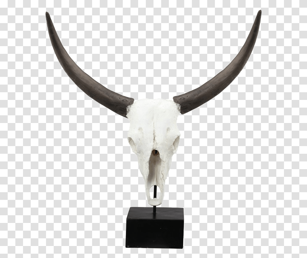 Cow Skull Cattle, Bird, Animal, Mammal, Longhorn Transparent Png